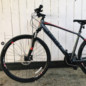 2018 Giant Roam Disc Silver, gray or bare metal