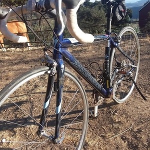 2007 Specialized Ruby Comp Blue