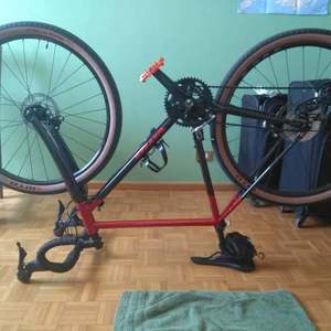 2019 Vitus Forked hardtail Red and Black