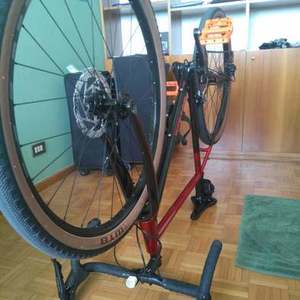 2019 Vitus Forked hardtail Red and Black