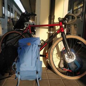 2019 Vitus Forked hardtail Red and Black