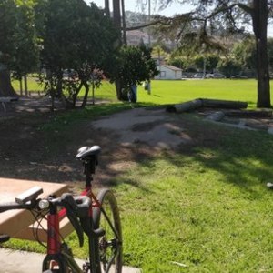 2019 Vitus Forked hardtail Red and Black