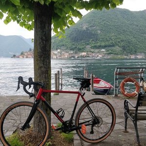 2019 Vitus Forked hardtail Red and Black