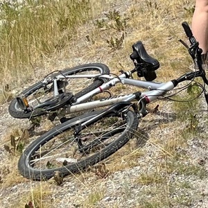 Giant Sedona DX Silver, gray or bare metal