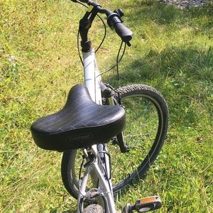 Giant Sedona DX Silver, gray or bare metal