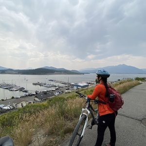 2018 Schwinn Silver, gray or bare metal and Pink