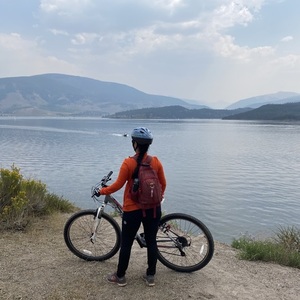 2018 Schwinn Silver, gray or bare metal and Pink