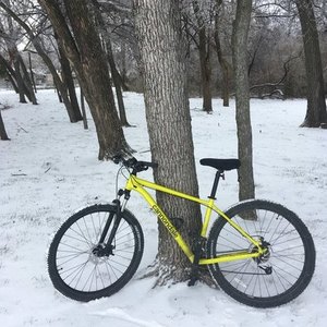 2021 Cannondale Trail 8 MTB size L Yellow or Gold