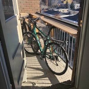 2012 Kona dew plus Green