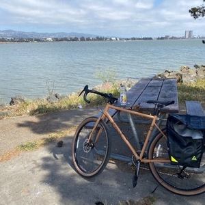 Marin Bikes Nicasio plus Brown