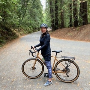 Marin Bikes Nicasio plus Brown