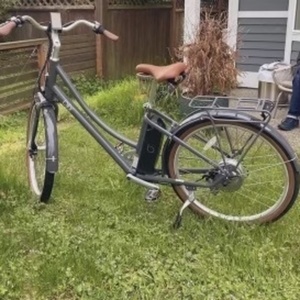 2022 Blix Aveny Skyline Silver, gray or bare metal