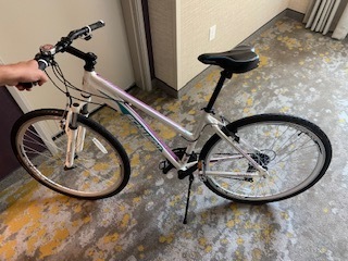 schwinn dsb dual sport