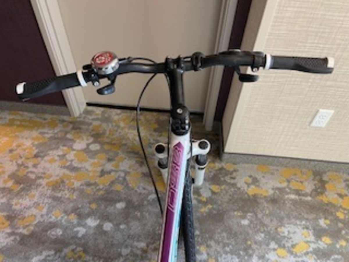 schwinn dsb dual sport