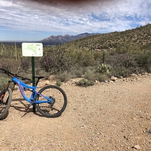 2019 Pivot SwitchBlade Blue Small Blue