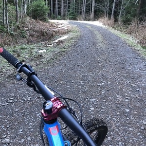 2019 Pivot SwitchBlade Blue Small Blue