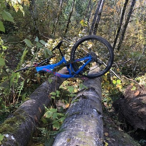 2019 Pivot SwitchBlade Blue Small Blue