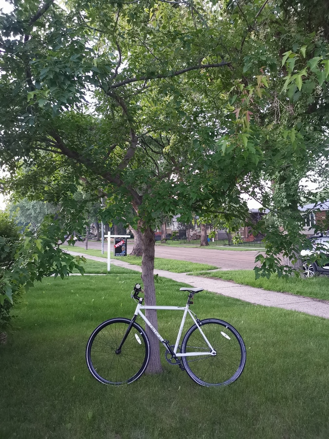Bike photo