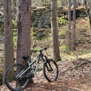 2021 Commencal Bikes Meta AM Ohlins edition Green and Black