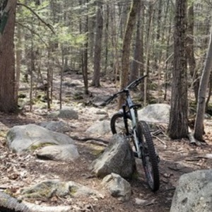 2021 Commencal Bikes Meta AM Ohlins edition Green and Black