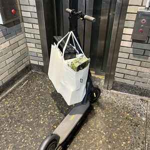 2022 Segway Ninebot MAX G30P e-scooter Black