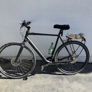 2019 Orbea d40