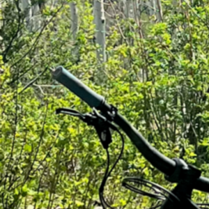 2022 YT Jeffsy Black