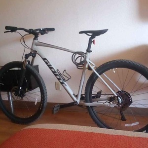 2021 Giant Talon Silver, gray or bare metal