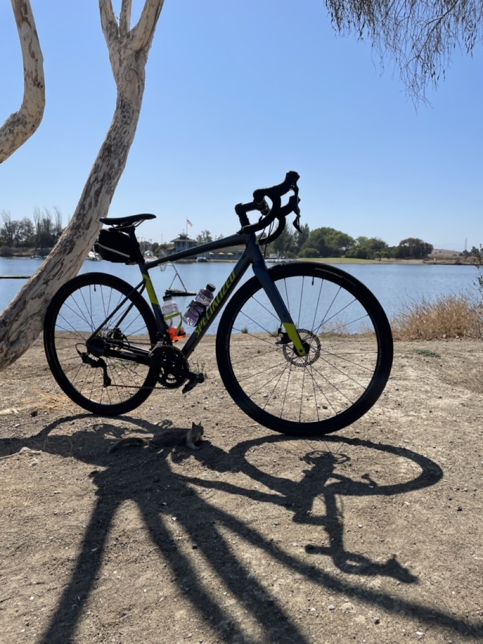 2019 specialized diverge comp e5