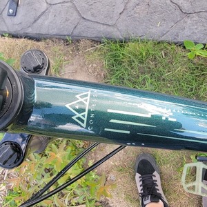 SCOTT Contessa Green