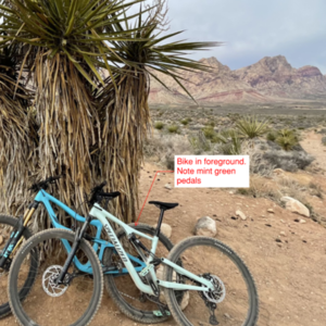 2022 Specialized Stumpjumper Alloy Teal and Teal