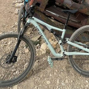 2022 Specialized Stumpjumper Alloy Teal and Teal