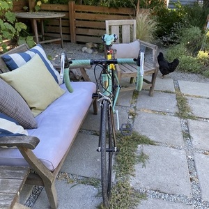 1999 Bianchi Bianchi reparto corse lite alloy Teal and Yellow or Gold