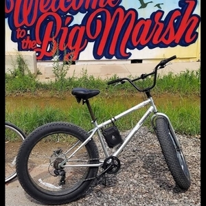 2018 Mongoose Malus Silver, gray or bare metal