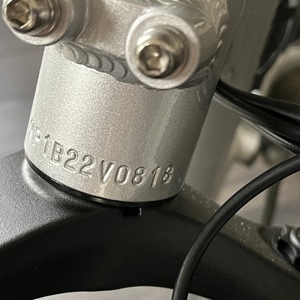 2022 Rad Power Bikes Rad Runner Plus Silver, gray or bare metal