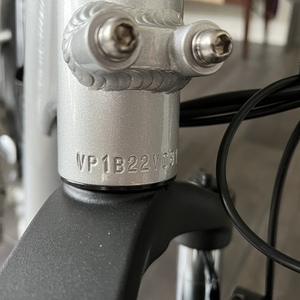 2022 Rad Power Bikes Rad Runner Plus Silver, gray or bare metal