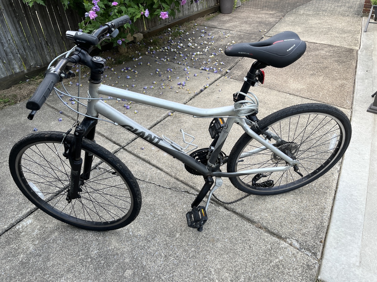 2007 Giant Boulder Silver/Black