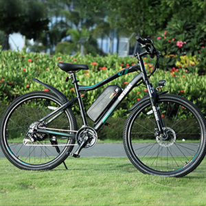 GOTRAX ‎EBE8 Black and Green