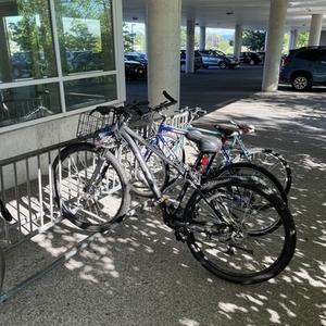 2020 GT Bicycles Avalanche 29" Black and Silver, gray or bare metal