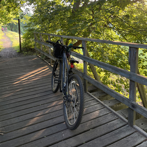 2020 GT Bicycles Avalanche 29" Black and Silver, gray or bare metal