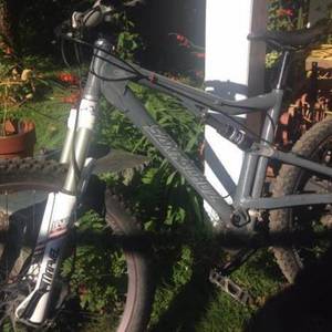 2016 Santa Cruz Heckler Silver or Gray