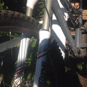 2016 Santa Cruz Heckler Silver or Gray