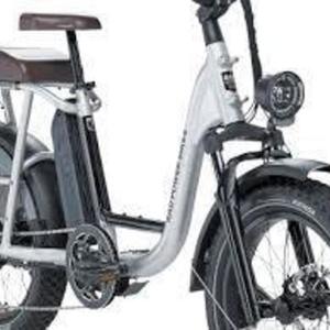 2021 Rad Power Bikes Rad Runner Plus Silver, gray or bare metal