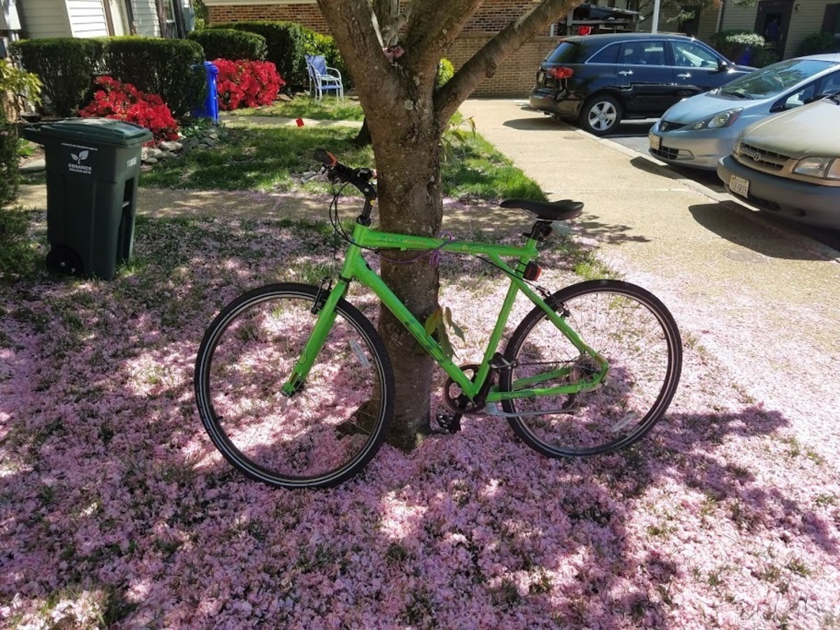Bike photo
