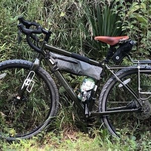 2018 Salsa Journeyman Green