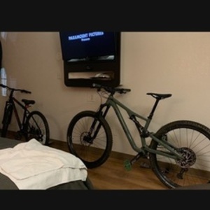 2021 Specialized Stumpjumper Comp Alloy Green