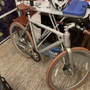 2022 FLX Babymaker II Silver, gray or bare metal