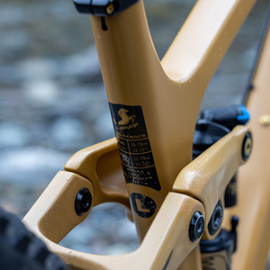 2020 Transition Bikes Sentinel Yellow or Gold