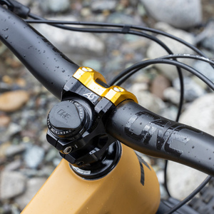 2020 Transition Bikes Sentinel Yellow or Gold