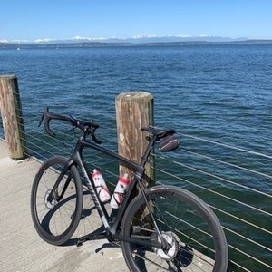 2020 Specialized Roubaix Black